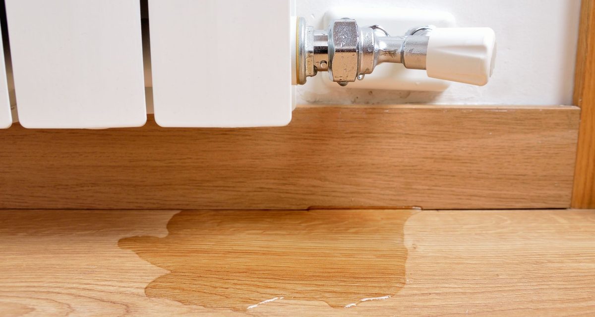 Steps to Undertake When Experiencing Water Damage