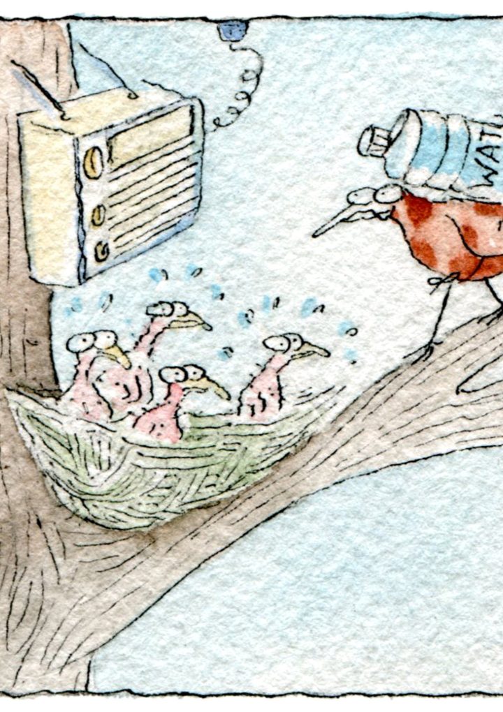 The Fascinating Process: How Do Baby Birds Get Water