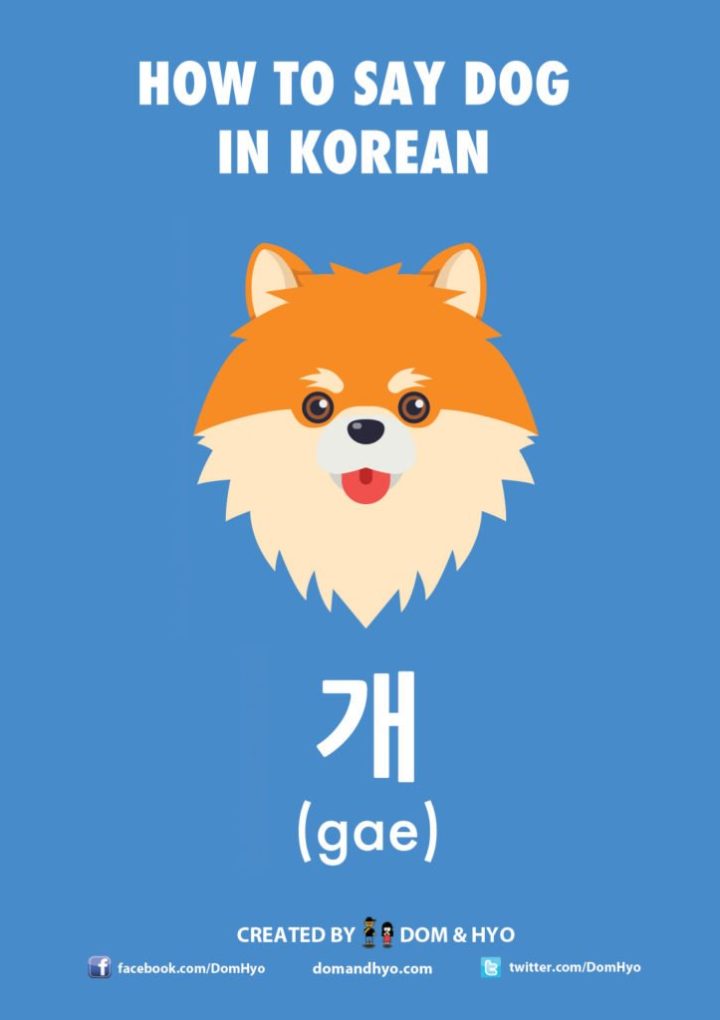 Learn How To Say Dog In Korean: A Simple Guide
