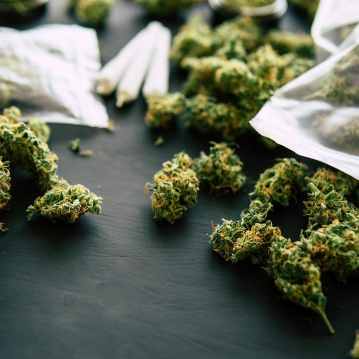 Top Trending Insights on Canada’s Edibles Market